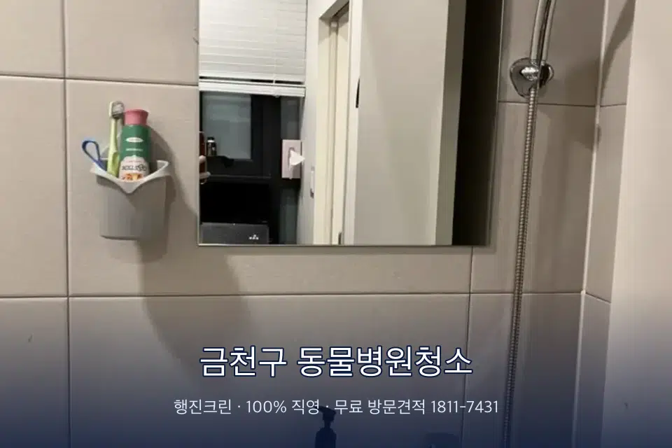 금천구 동물병원청소 병원 화장실 세면대 살균