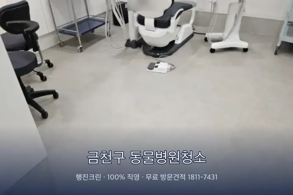 금천구 동물병원청소 치과 진료실 바닥과 집기 청소
