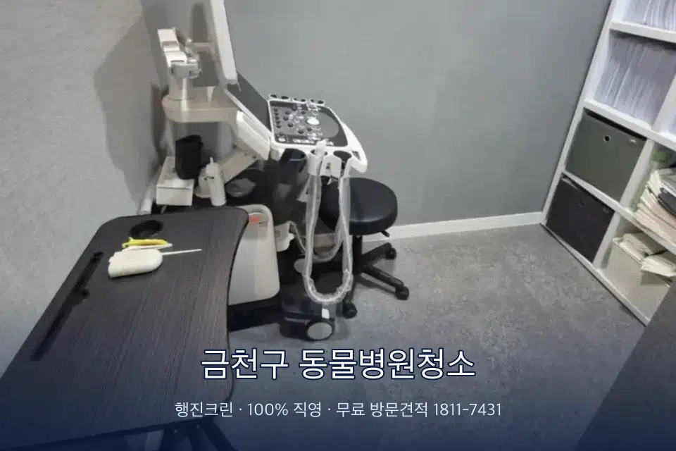 금천구 동물병원청소 초음파실 장비 주변 닦기